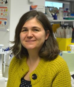 Dra. María Muñoz Caffarel